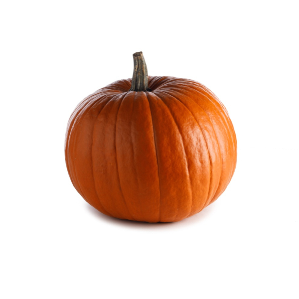 Pumpkin Orange Large - (Individual)