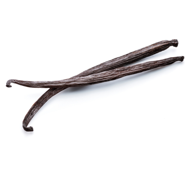 Vanilla Pod - (Individual)