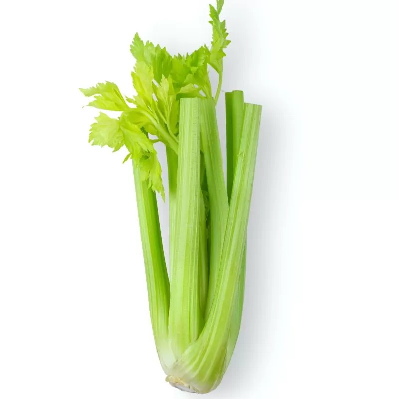 Celery - (Individual)