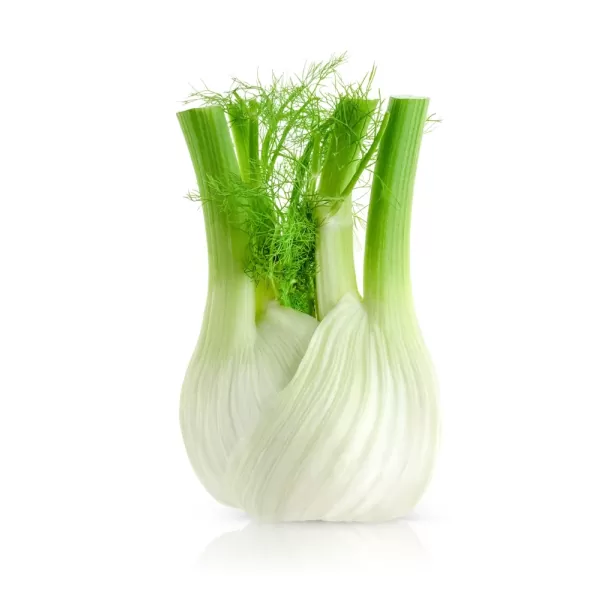 Fennel Bulb - (500g)